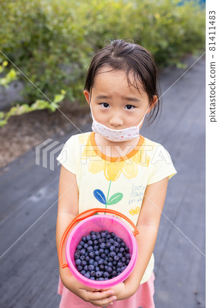 Kids enjoying blueberry hunting Kids enjoying blueberry hunting 81411483