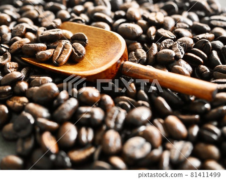 Coffee scoop measure Coffee scoop measure 81411499