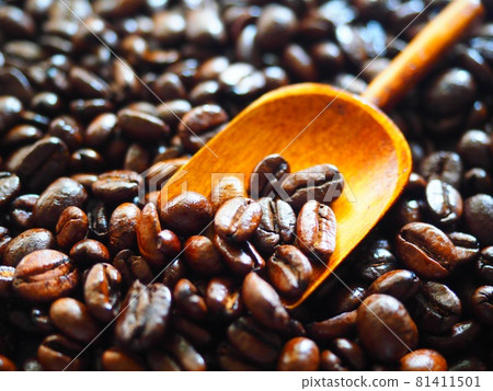 Coffee beans Coffee beans 81411501