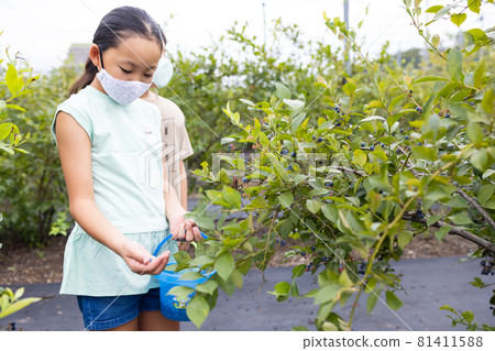 Kids enjoying blueberry hunting 81411588