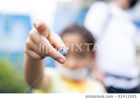 Kids enjoying blueberry hunting 81411885