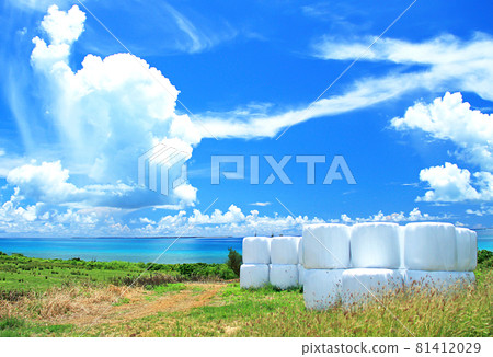 Scenery of Kohama Island, Yaeyama Islands, Okinawa 81412029