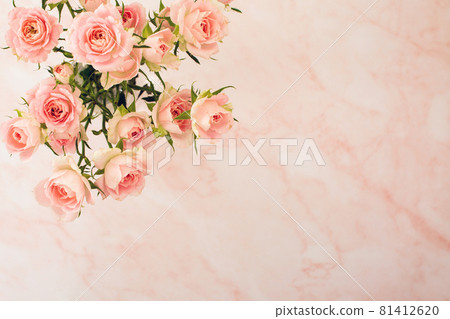 Bouquet of pink roses on a pink background 81412620