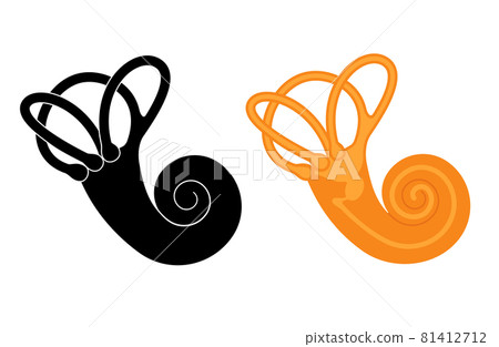 Vestibular apparatus anatomy Vestibular apparatus anatomy 81412712