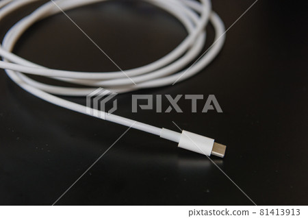 White USB cable 81413913