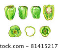 Illustration of bell peppers drawn with watercolor materials 81415217