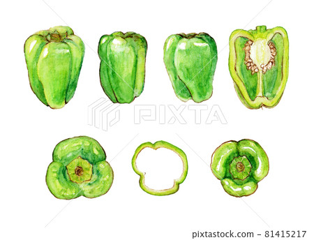 用水彩材料繪製的甜椒插圖 用水彩材料繪製的甜椒插圖 81415217