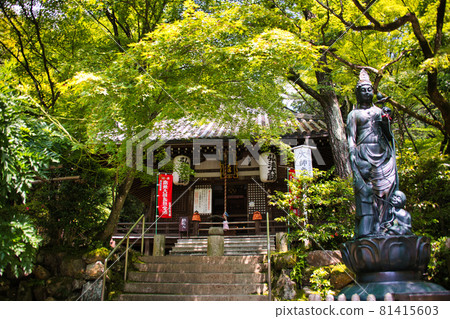 Kumano Kanonji現在 81415603