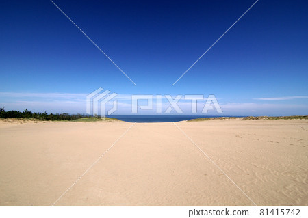 鳥取四季漫步秋日沙丘 81415742