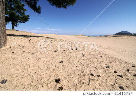 Tottori four seasons walk autumn sand dunes Tottori four seasons walk autumn sand dunes 81415754