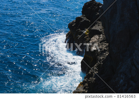 Reef of Senryoike Reef of Senryoike 81416563