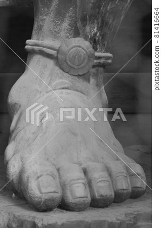 踐踏大地的金剛立石像 踐踏大地的金剛立石像 81416664