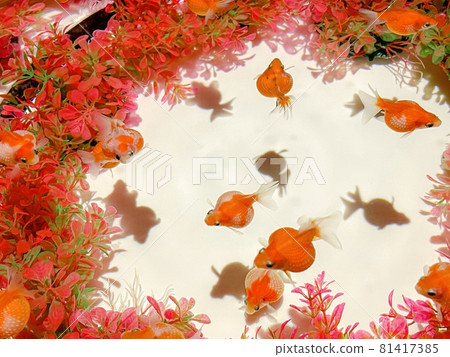 Goldfish ~ Shadow ~ Goldfish ~ Shadow ~ 81417385