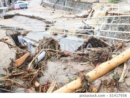 Driftwood Driftwood 81417936