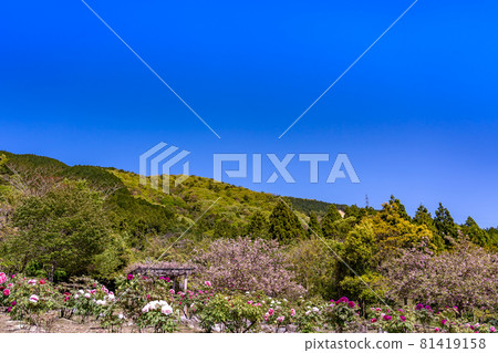 三重縣伊鍋市農業公園植物園 81419158
