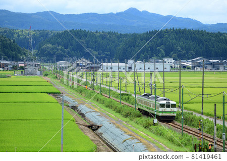 越後線115系列車在平緩的丘陵背景下穿過綠色稻田 越後線115系列車在平緩的丘陵背景下穿過綠色稻田 81419461