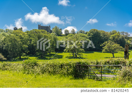 View of a castle, green trees, and fields in the countryside of Wales View of a castle, green trees, and fields in the countryside of Wales 81420245
