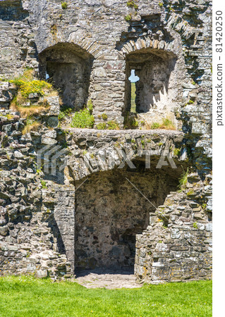 Ruined Llansteffan castle in Carmarthenshire, Wales, UK 81420250