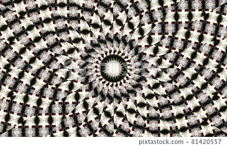 Black and white kaleidoscope. Monochrome Floral Pattern. Can be used for coloring book page design,anti stress hobby for adult. Noir theme, black and white illustration Black and white kaleidoscope. Monochrome Floral Pattern. Can be used for coloring book page design,anti stress hobby for adult. Noir theme, black and white illustration 81420557