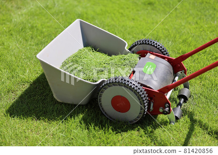 夏天的花園 81420856