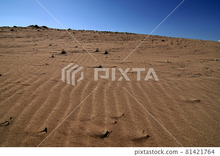 Tottori four seasons walk autumn sand dunes 81421764