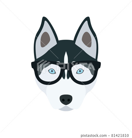 Husky in glasses.  81421810