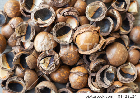Pile of peeled Macadamia nuts on wooden table Pile of peeled Macadamia nuts on wooden table 81422124