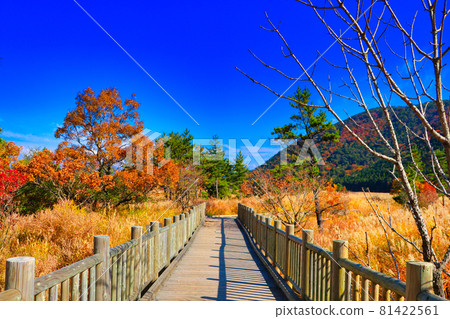 Tadewara 濕地自然研究之路 秋季 Kuju 山脈和芒草 81422561