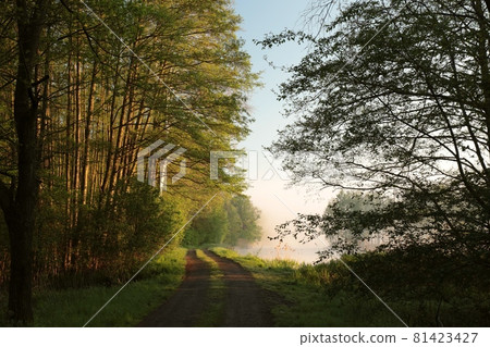 Spring sunrise over the lake on a cloudless weather Spring sunrise over the lake on a cloudless weather 81423427