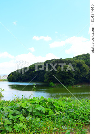 岡三藏墓 [世界遺產] 81424449