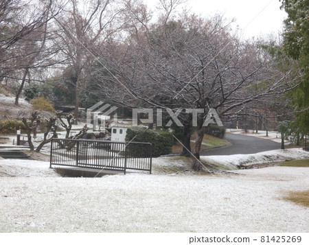 鶴見綠地,在積雪的早晨,你還沒有踏足的公園 鶴見綠地,在積雪的早晨,你還沒有踏足的公園 81425269