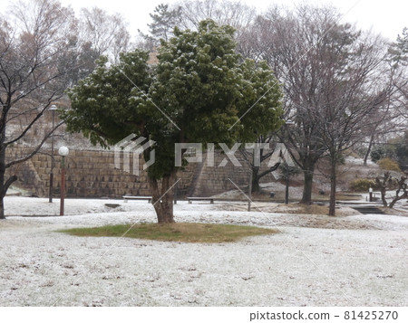 鶴見綠地,在積雪的早晨,你還沒有踏足的公園 鶴見綠地,在積雪的早晨,你還沒有踏足的公園 81425270
