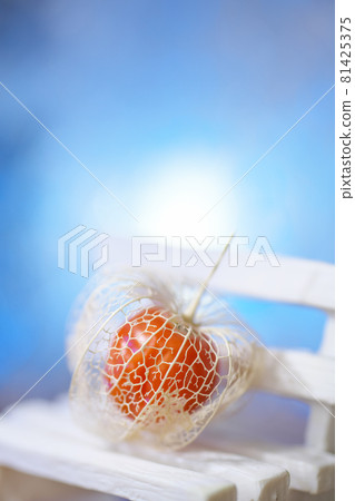 A cute openwork physalis placed on a white bench on a refreshing blue background. A cute openwork physalis placed on a white bench on a refreshing blue background. 81425375
