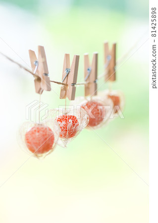 Openwork physalis hung with a wooden clip. A refreshing garland style. Openwork physalis hung with a wooden clip. A refreshing garland style. 81425898