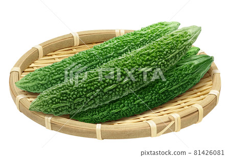 Bitter melon illustration real set colander 81426081