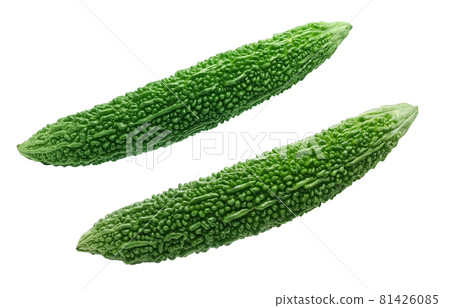 Bitter melon illustration real single Bitter melon illustration real single 81426085