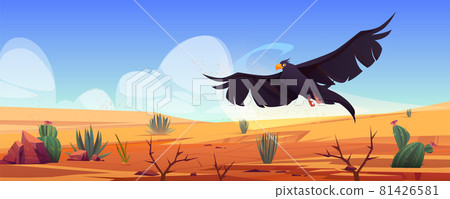 Black eagle over desert landscape, falcon or hawk 81426581