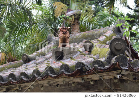 Shisa on the roof Shisa on the roof 81426860