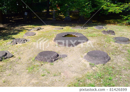Nonakaji Temple [Historic Site] 81426899
