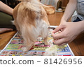 Dog home cut 81426956