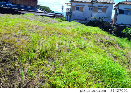 Nonoue Tomb Nonoue Tomb 81427091