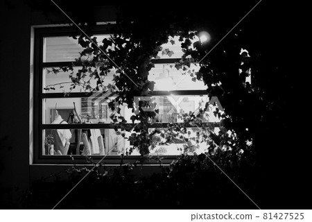 Display of clothes from the window of an apparel shop in the downtown area Display of clothes from the window of an apparel shop in the downtown area 81427525