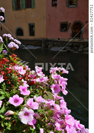 2021 年 7 月 29 日，法國安納西老城運河沿岸盛開的鮮花 81427751
