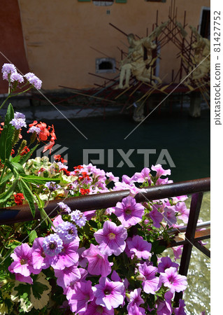 2021 年 7 月 29 日，法國安納西老城運河沿岸盛開的鮮花 81427752