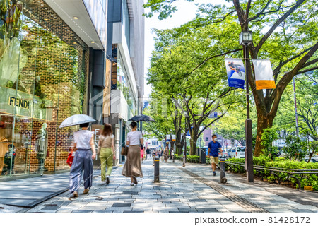 Tokyo Shibuya cityscape Omotesando 81428172