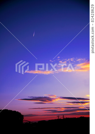 Evening view of contrails 81428629