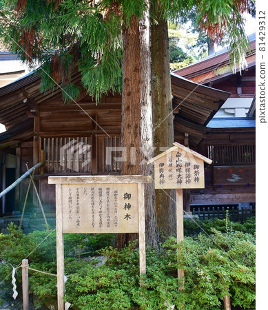 Hakusan Ratio Shrine 81429312