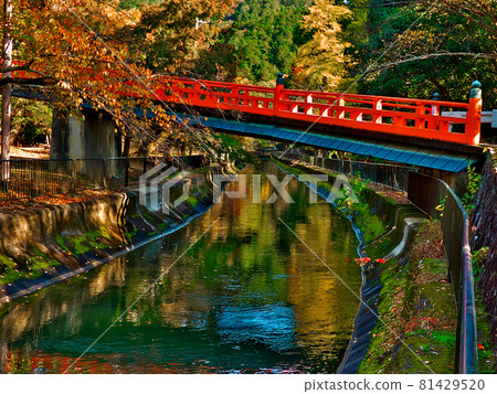 Autumn of Masataka Bridge over Lake Biwa Canal leading to Honkokuji Temple Autumn of Masataka Bridge over Lake Biwa Canal leading to Honkokuji Temple 81429520