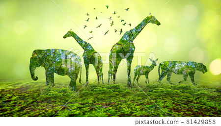 World Wildlife Day forest silhouette in the shape of a wild animal wildlife and forest conservation concept 81429858