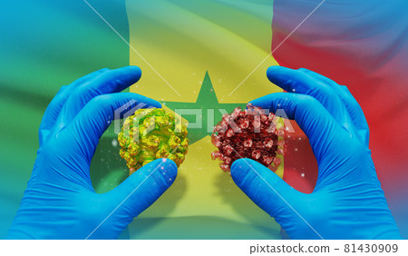 Medical virus molecular concept with flag of Senegal. 3D illustration. Medical virus molecular concept with flag of Senegal. 3D illustration. 81430909